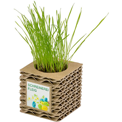 Pot cube mini en carton ondulé avec graines - Mélange d herbes aromatiques, Image 2