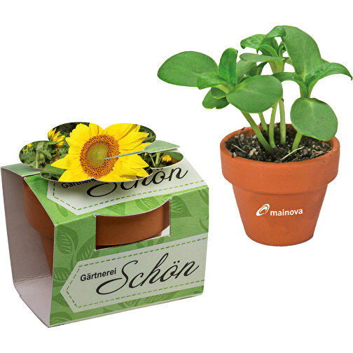 Tontöpfchen-Blume Mit Samen - Sonnenblume Inkl. Tampondruck , individuell, Saatgut,Papier,Ton,Erde, 4,00cm (Höhe), Bild 1