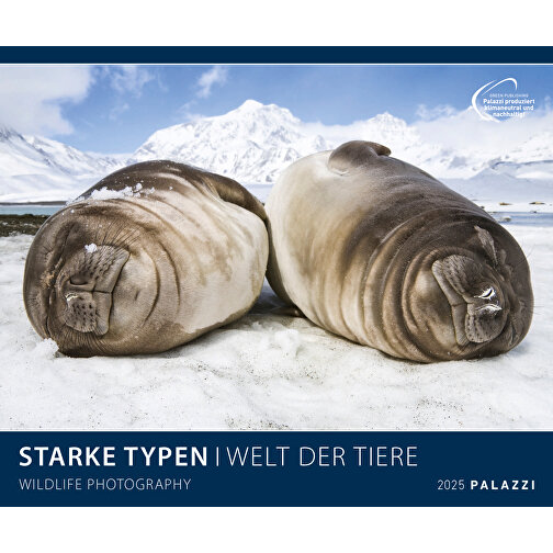 Starke Typen - Wildlife Photography , Papier, 49,50cm x 60,00cm (Höhe x Breite), Bild 1