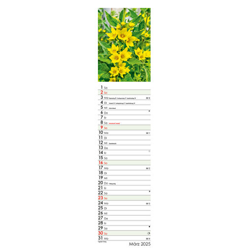 Wunderwelt Heilpflanzen , Papier, 55,30cm x 11,30cm (Höhe x Breite), Bild 6