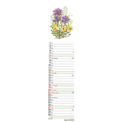 Blütenschau , Papier, 55,30cm x 11,30cm (Höhe x Breite), Bild 8
