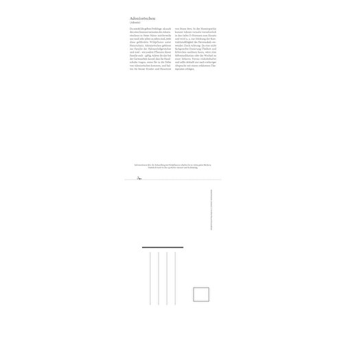 Gesundheit Durch Heilkräuter , Papier, 42,00cm x 11,90cm (Höhe x Breite), Bild 13
