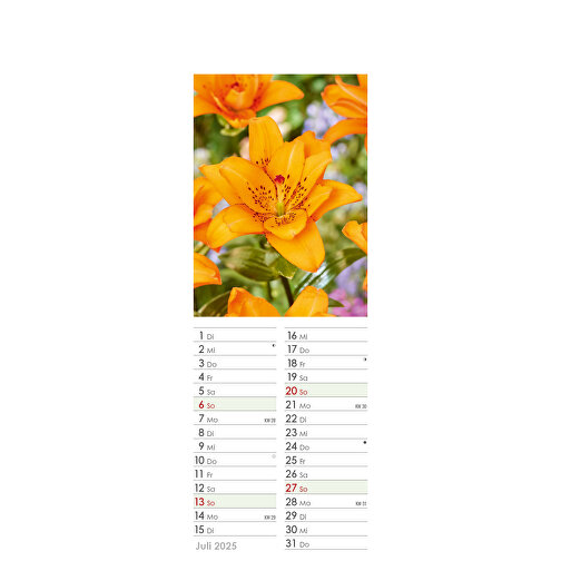 Farbige Blumenwelt , Papier, 34,00cm x 11,90cm (Höhe x Breite), Bild 14