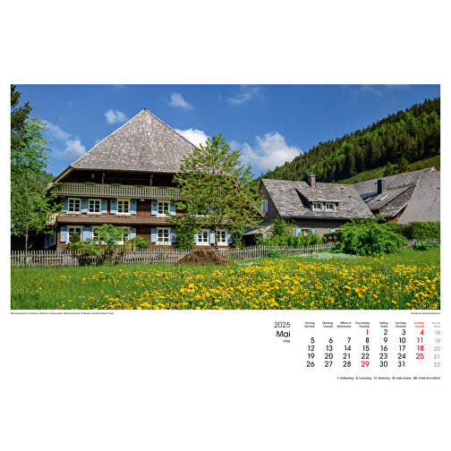 Schwarzwald , Papier, 29,70cm x 42,00cm (Höhe x Breite), Bild 6
