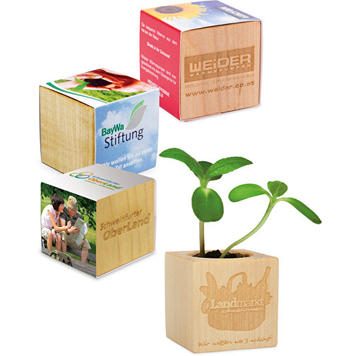 Plant Wood Grass Papir inkl. 1 side laseret - Spice Paprika, Billede 1