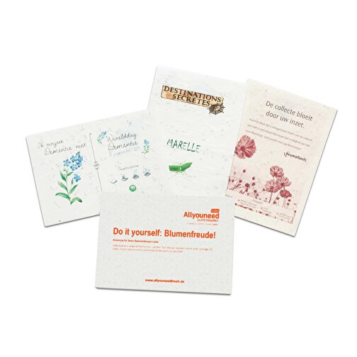 Samenpapier DIN A5 - 21,0 X 14,8 Cm - Blumenmischung 4/4-c , individuell, Saatgut, Papier, 21,00cm x 14,80cm (Länge x Breite), Bild 2