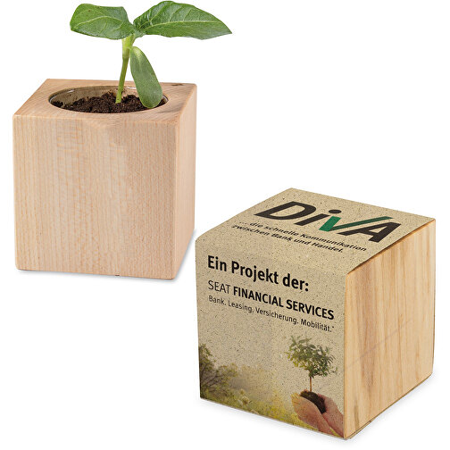 Papel de hierba de madera para plantas - Daisy, Imagen 2
