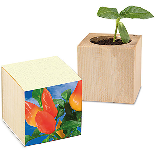Plant Wood Grass Paper - Spice Paprika, Obraz 1