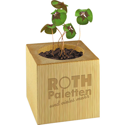Pot cube bois Mini - Trèfle à 4 feuilles - sans gravure laser, Image 2