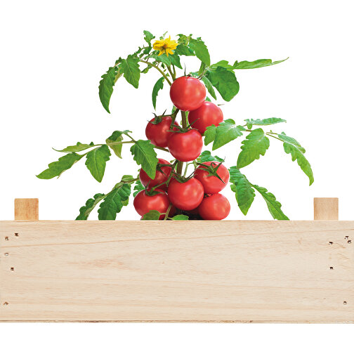 Tomato , holzfarben, Holz, 20,50cm x 7,50cm x 13,00cm (Länge x Höhe x Breite), Bild 3