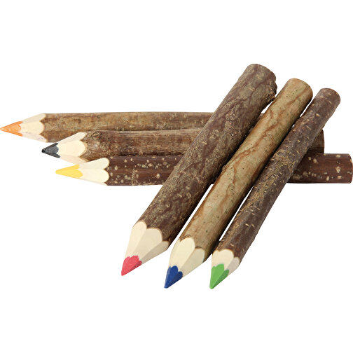 Crayon de couleur à branches assorti, Image 1