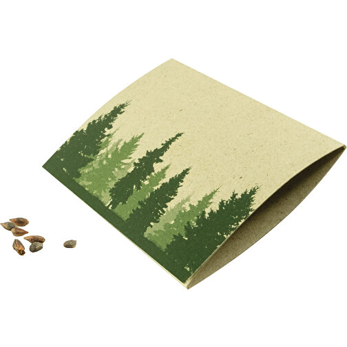 Graspapier-Kärtchen Fichte , bunt, Papier, Samen, 9,00cm x 6,00cm (Länge x Breite), Bild 1
