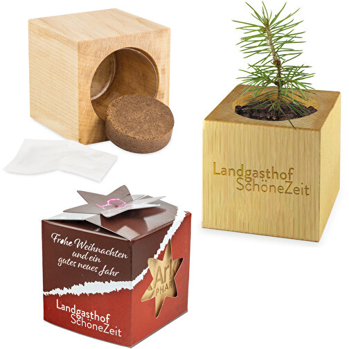 Plantekasse Wood Maxi Star Box Xmas - Gran, 1 side laserbehandlet, Bilde 1