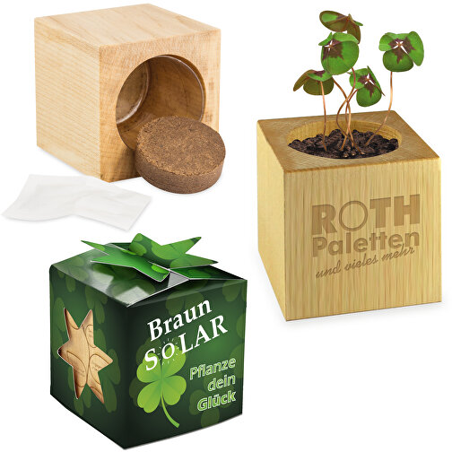 Pot cube bois mini avec bulbes de trèfle à 4 feuilles en boite Star-Box avec graines - sans gravur, Image 1