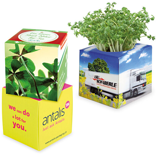 Cube à planter 2.0 avec graines - Bulbes de trèfle à 4 feuilles, Image 1