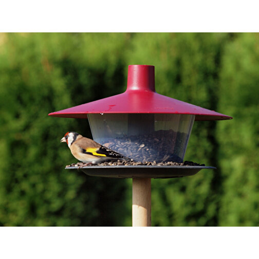 Mangeoire pour oiseaux à suspendre, à poser, à réjouir !, Image 2