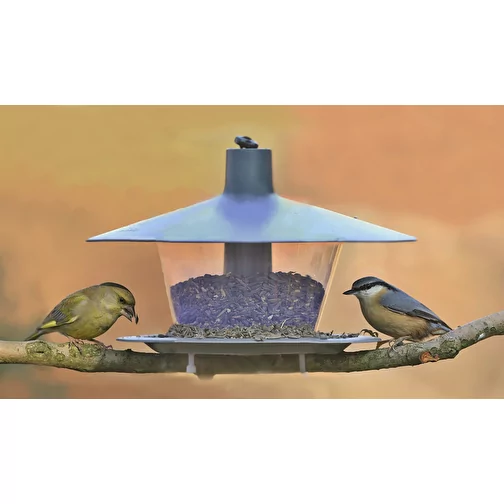 Mangeoire pour oiseaux à suspendre, à poser, à réjouir !, Image 2