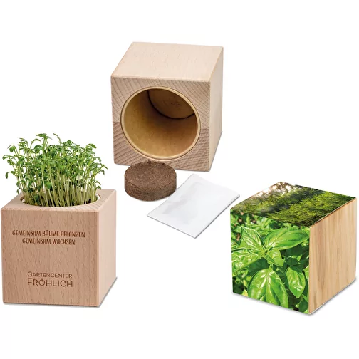 Plante-bois Grande avec graines - Basilic, Image 1