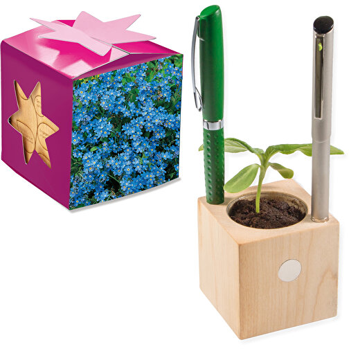 Pot cube boisde bureau en boite star-box avec graines - Myosotis, 2 sites gravés au laser, Image 1