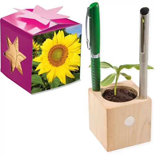 Pot cube boisde bureau en boite star-box avec graines - Tournesol, Image 1