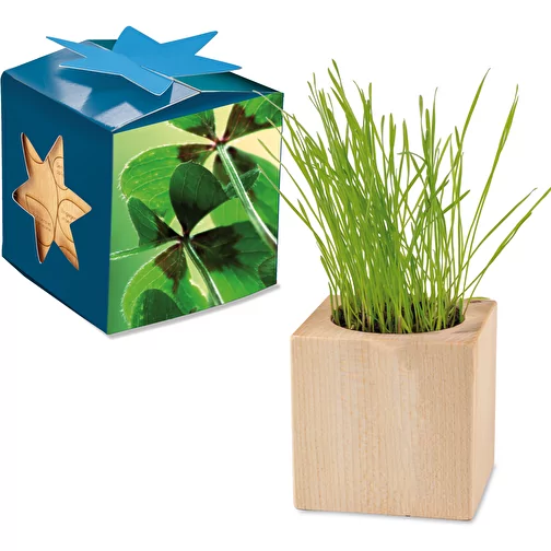Pot cube bois Maxi en boite star-box avec graines - Bulbes de trèfle à 4 feuilles, 2 sites gravés, Image 1