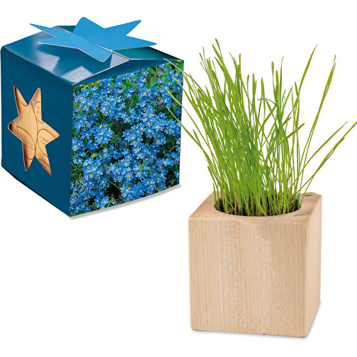 Pot cube bois Maxi en boite star-box avec graines - Myosotis, 1 sites gravés au laser, Image 1