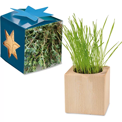 Pot cube bois Maxi en boite star-box avec graines - Thym, 1 sites gravés au laser, Image 1