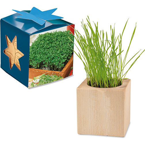 Cassetta per piante in legno Maxi Star Box - Crescione da giardino, 1 lato laserato, Immagine 1
