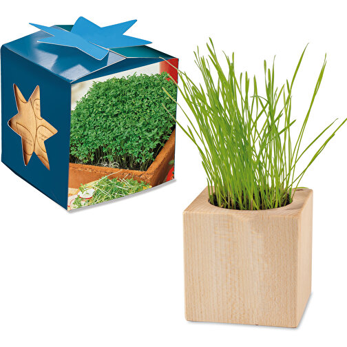 Pflanz-Holz Maxi Star-Box Mit Samen - Gartenkresse, 1 Seite Gelasert , individuell, Papier, Holz, Erde, Saatgut, 6,00cm x 6,00cm x 6,00cm (Länge x Höhe x Breite), Bild 1