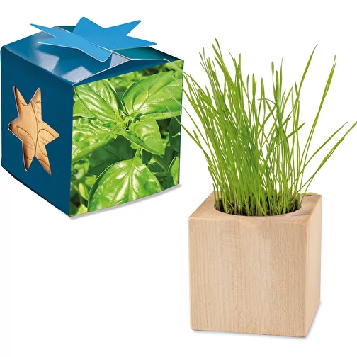 Pot cube bois Maxi en boite star-box avec graines - Basilic, 1 sites gravés au laser, Image 1