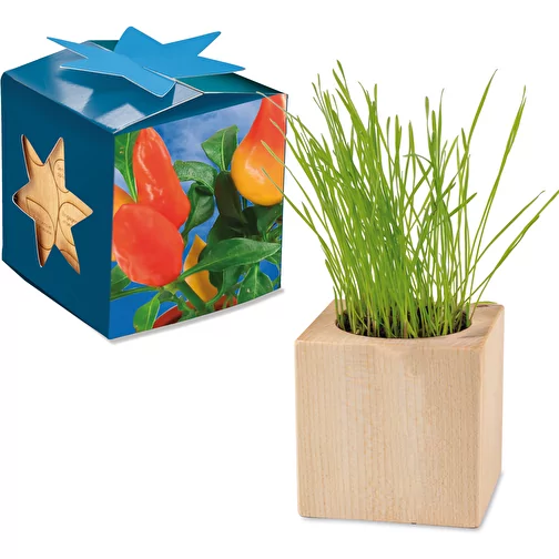 Pot cube bois Maxi en boite star-box avec graines - Piment, Image 1