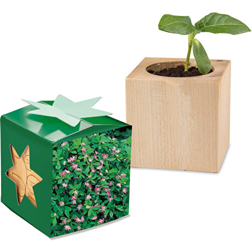 Pflanz-Holz Star-Box Mit Samen - Persischer Klee, 2 Seiten Gelasert , individuell, Papier, Holz, Erde, Saatgut, 4,00cm x 4,00cm x 4,00cm (Länge x Höhe x Breite), Bild 1