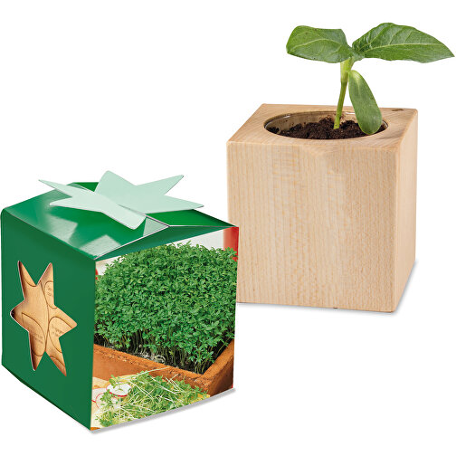 Pot cube bois mini en boite star-box avec graines - Cresson de jardin, 2 sites gravés au laser, Image 1