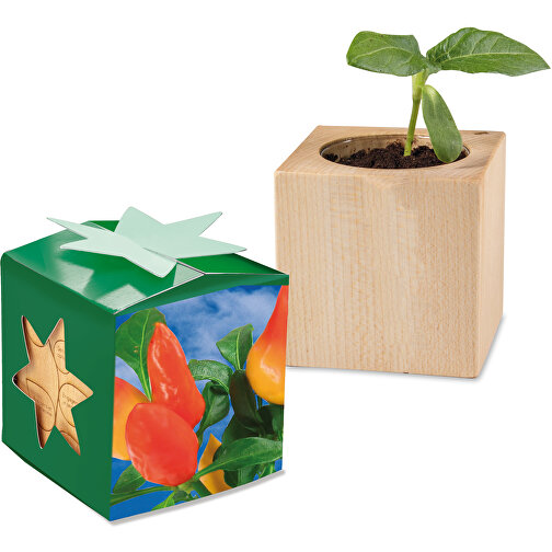 Pflanz-Holz Star-Box Mit Samen - Gewürzpaprika, 1 Seite Gelasert , individuell, Papier, Holz, Erde, Saatgut, 4,00cm x 4,00cm x 4,00cm (Länge x Höhe x Breite), Bild 1