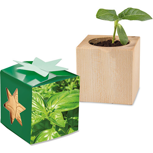 Pflanz-Holz Star-Box Mit Samen - Basilikum , individuell, Papier, Holz, Erde, Saatgut, 4,00cm x 4,00cm x 4,00cm (Länge x Höhe x Breite), Bild 1