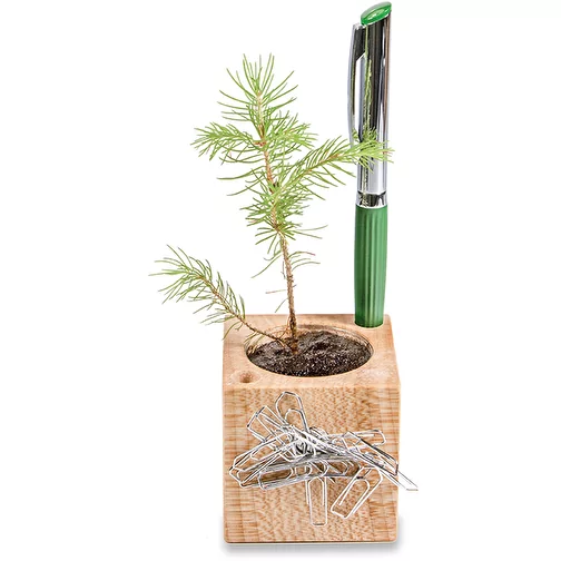 Pot cube boisde bureau en boite star-box avec graines - Basilic, Image 3