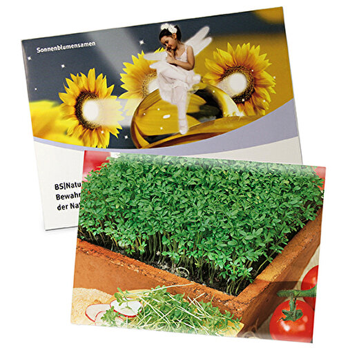 Samentütchen Groß - Standardpapier - Gartenkresse , individuell, Saatgut, Papier, 11,50cm x 15,60cm (Länge x Breite), Bild 1