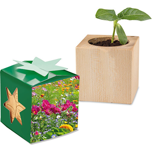 Pflanz-Holz Star-Box Mit Samen - Sommerblumenmischung , individuell, Papier, Holz, Erde, Saatgut, 4,00cm x 4,00cm x 4,00cm (Länge x Höhe x Breite), Bild 1