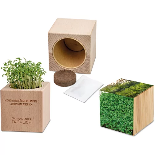 Plante-bois Grande avec graines - Cresson de jardin, 2 sites gravés au laser, Image 1