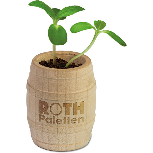 Planteringsfat med frön - persisk klöver, lasergravering, Bild 2