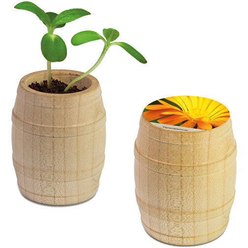 Mini-tonneau en bois avec graines - Souci, Image 1