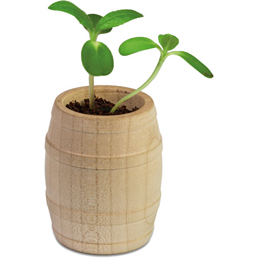 Mini-tonneau en bois avec graines - Mélange d herbes aromatiques, Image 2