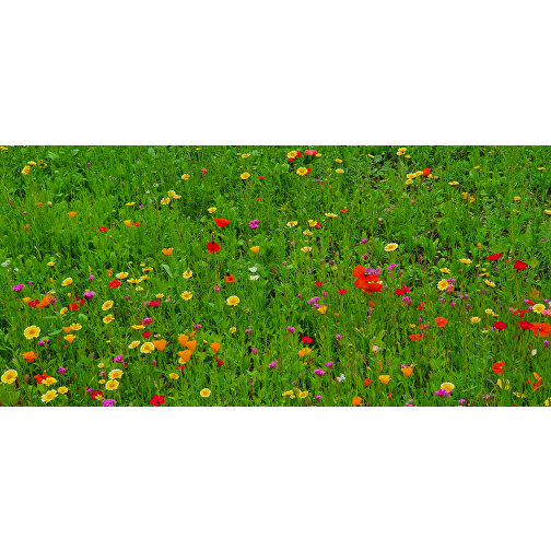 Bienenweide Im Oster-Eierkarton Blumen , , 9,50cm x 4,50cm x 6,00cm (Länge x Höhe x Breite), Bild 6