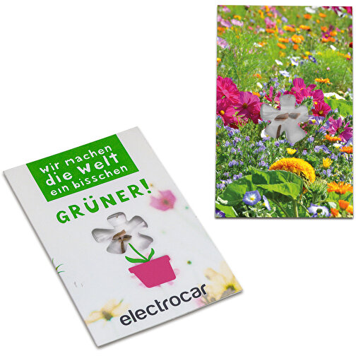 Tarjeta de semillas mini flor - mezcla de flores de verano, Imagen 1