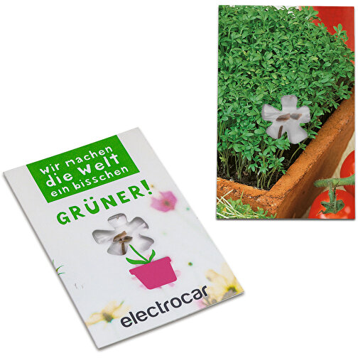 Carte de graines-Mini fleur - Cresson de jardin, Image 1