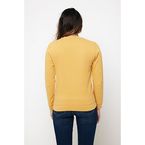 Iqoniq Zion Rundhals-Sweater Aus Recycelter Baumwolle , ochre yellow, 50% recycelte und 50% biologische Baumwolle, XXXL, 80,00cm x 1,00cm (Länge x Höhe), Bild 11