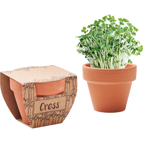 Cress Pot, Image 1