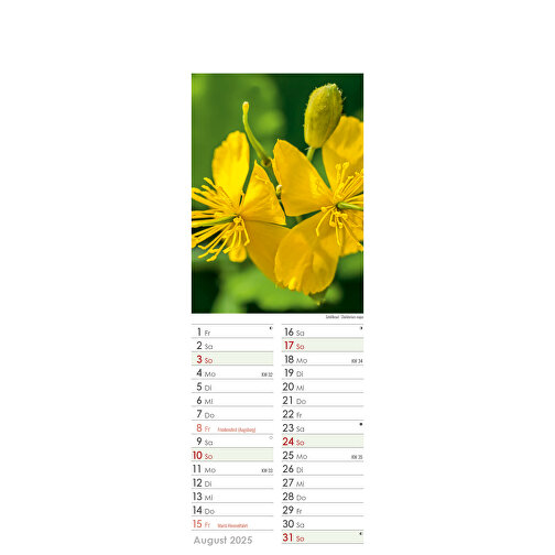 Medisinplanter - I botanikkens rike, Bilde 16