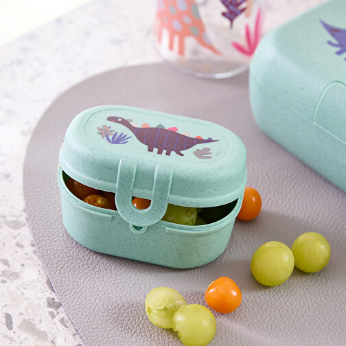 PASCAL MINI REX snackboks, Billede 2