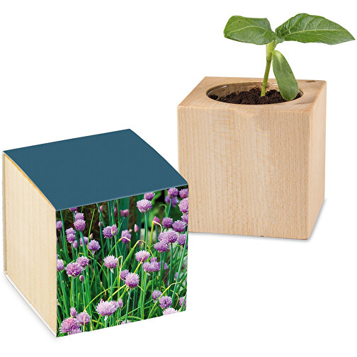 Pot cube avec graines - ciboulette, Image 1